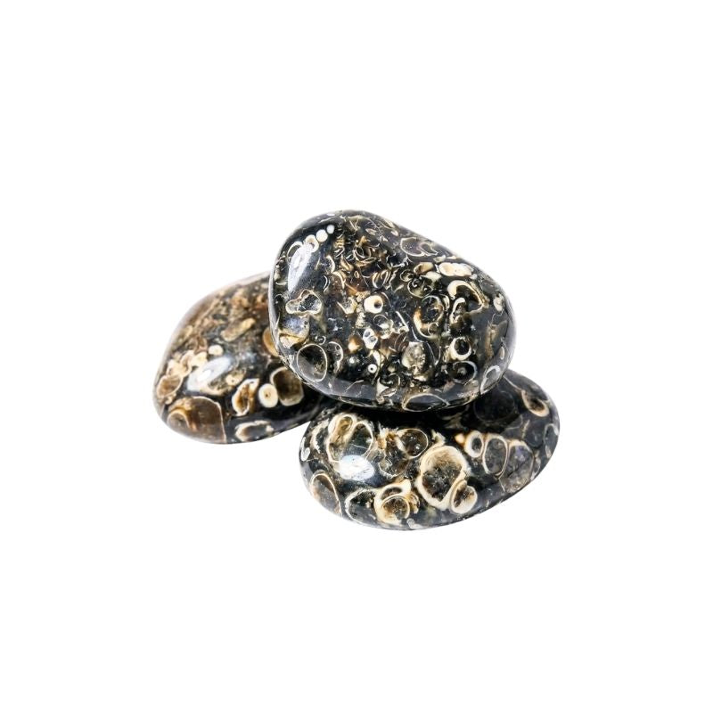 AGATE TURITELLE - Pierre de lithothérapie, vertus et propriétés Image