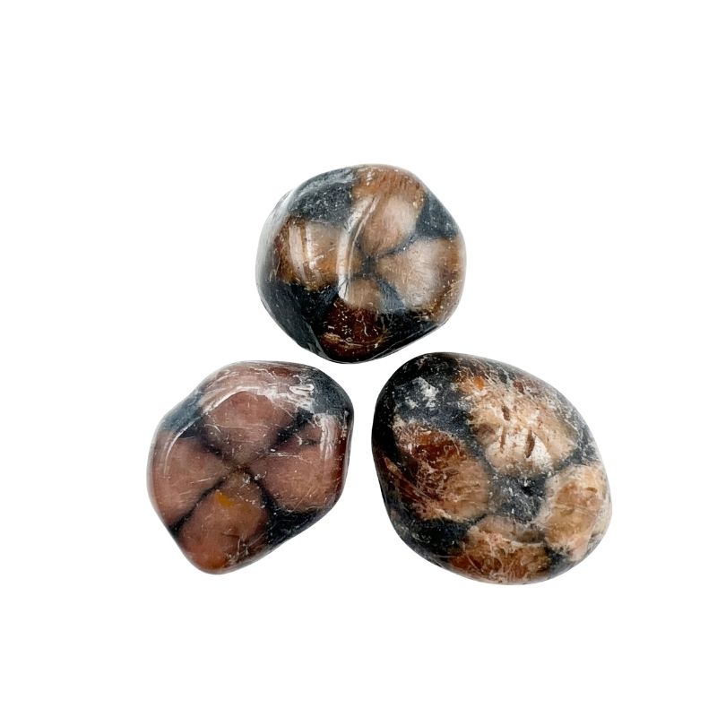 Chiastolite - Pierre de lithothérapie, vertus et propriétés Image