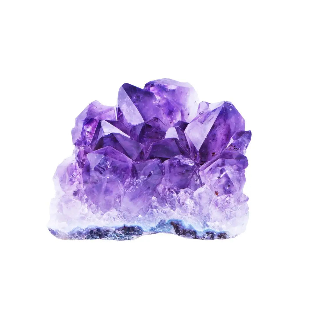 pierre violette Image