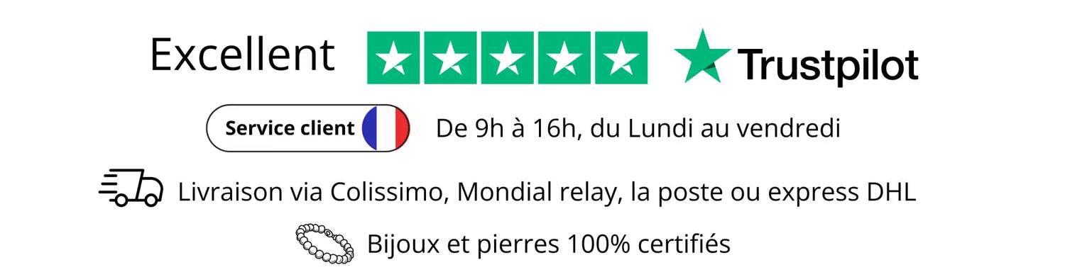 Affichage de la note Trustpilot montrant un avis 5 étoiles 'Excellent'.