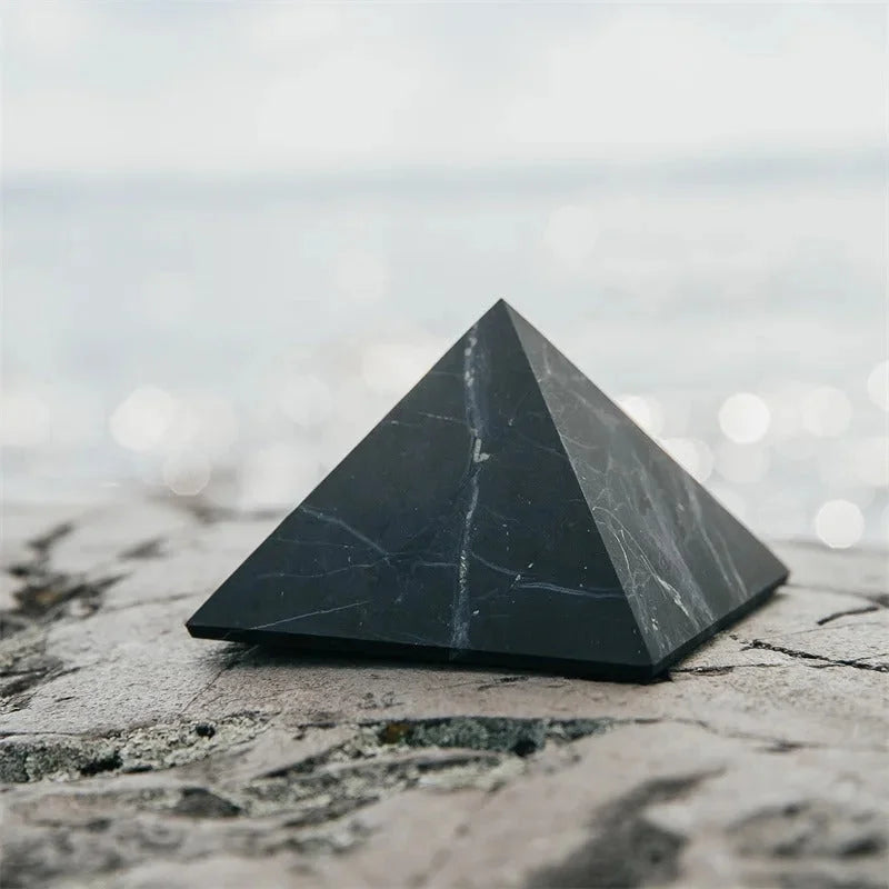 Shungite - Pierre